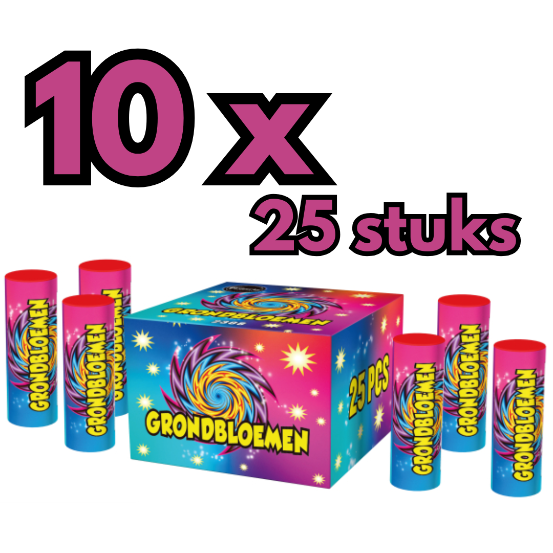 SUPER AANBIEDING 10 PAK Grondbloem